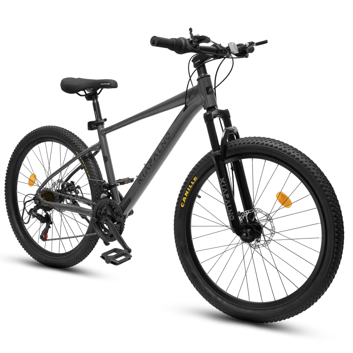 A24472B ECARPAT 21-versnelling - Commuting On Road Bike recensie en prijs